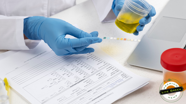 Does delta 8 show up on drug tests?