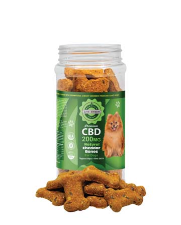 CBD Pet Treats Natural Cheddar 16oz 200mg | Live Green Hemp