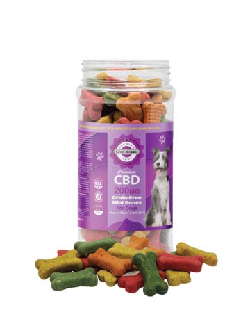 CBD Pet Treats Grain-Free Mini Bone Biscuits 16oz 200mg | Live Green Hemp