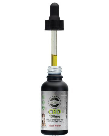 CBD Broad Spectrum MCT Oil THC-Free Pet Tincture for Dogs Bacon 30ml 150mg | Live Green Hemp