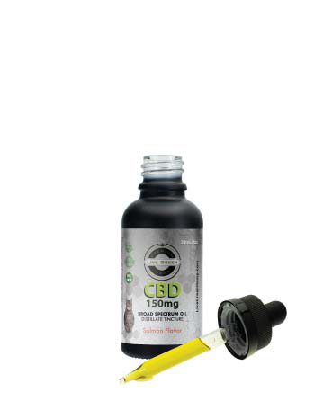 CBD Broad Spectrum MCT Oil T-Free Pet Tincture 30ml | Live Green Hemp