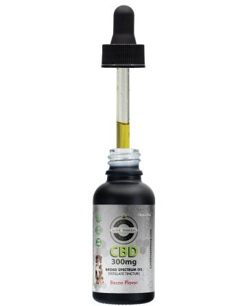 CBD Broad Spectrum MCT Oil THC-Free Pet Tincture for Dogs Bacon 30ml 300mg | Live Green Hemp