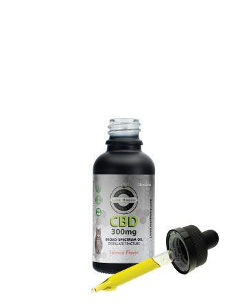 CBD Broad Spectrum MCT Oil THC-Free Pet Tincture for Cats Salmon 30ml 300mg | Live Green Hemp