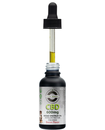 CBD Broad Spectrum MCT Oil T-Free Pet Tincture for Dogs Bacon 30ml 600mg | Live Green Hemp